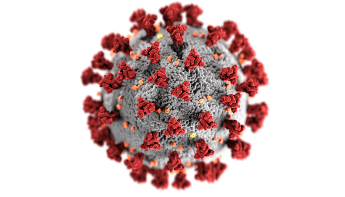 COVID-19 Coronavirus